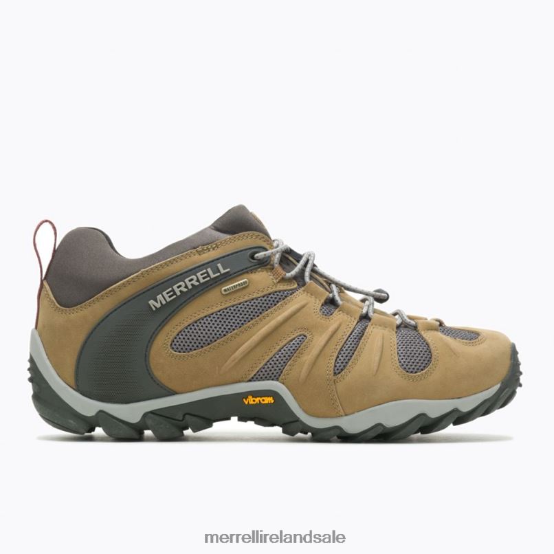 Chameleon 8 Stretch Waterproof (J500017) Merrell Men BX26T183 Butternut Shoes