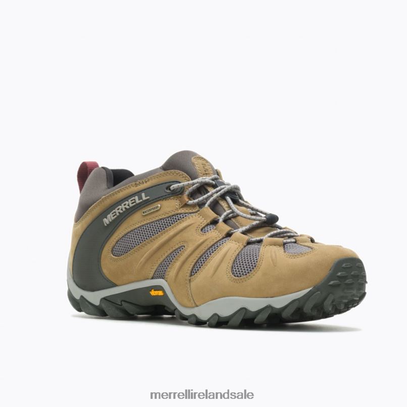 Chameleon 8 Stretch Waterproof (J500017) Merrell Men BX26T183 Butternut Shoes