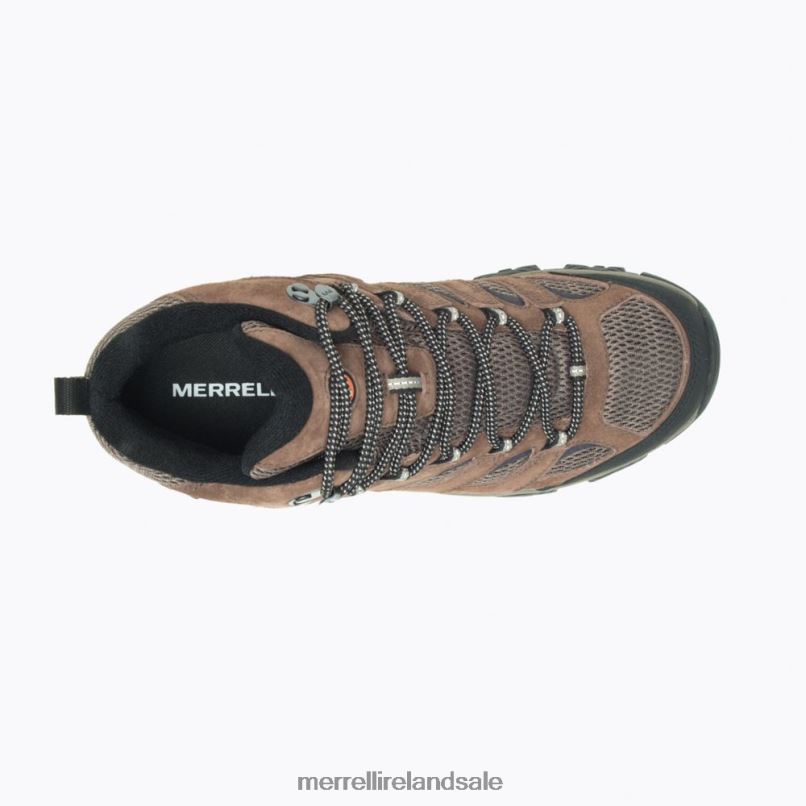 Moab 3 Mid Waterproof (J036757) Merrell Men BX26T130 Bracken Shoes