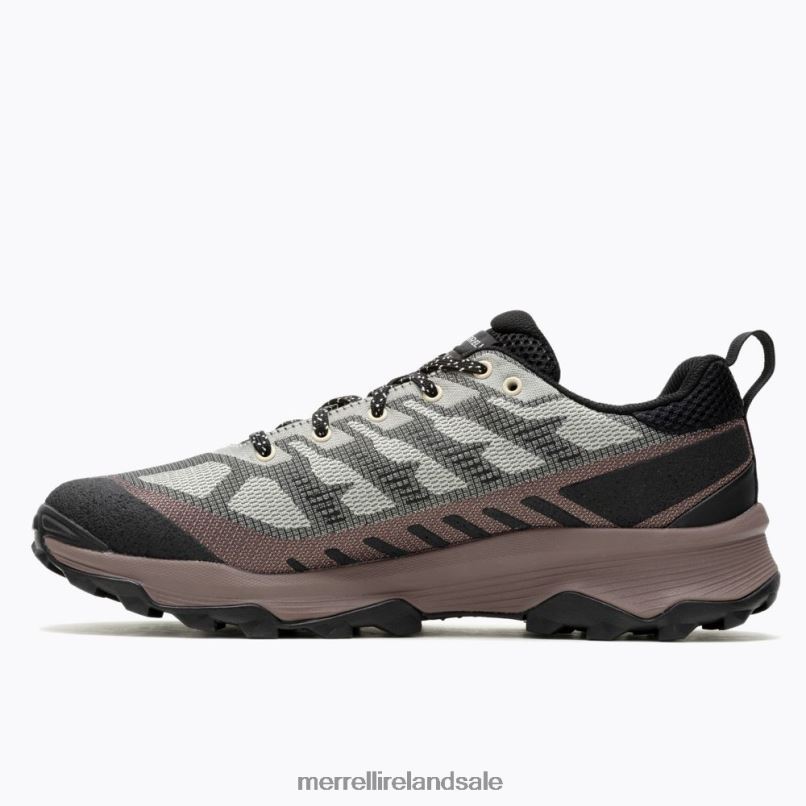 Speed Eco (J037127) Merrell Men BX26T31 Oyster/Marron Shoes
