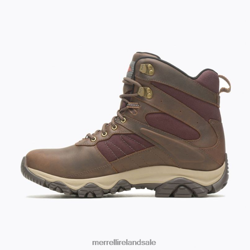 Moab 2 Timber 6'' Waterproof (J004653) Merrell Men BX26T598 Toffee Shoes