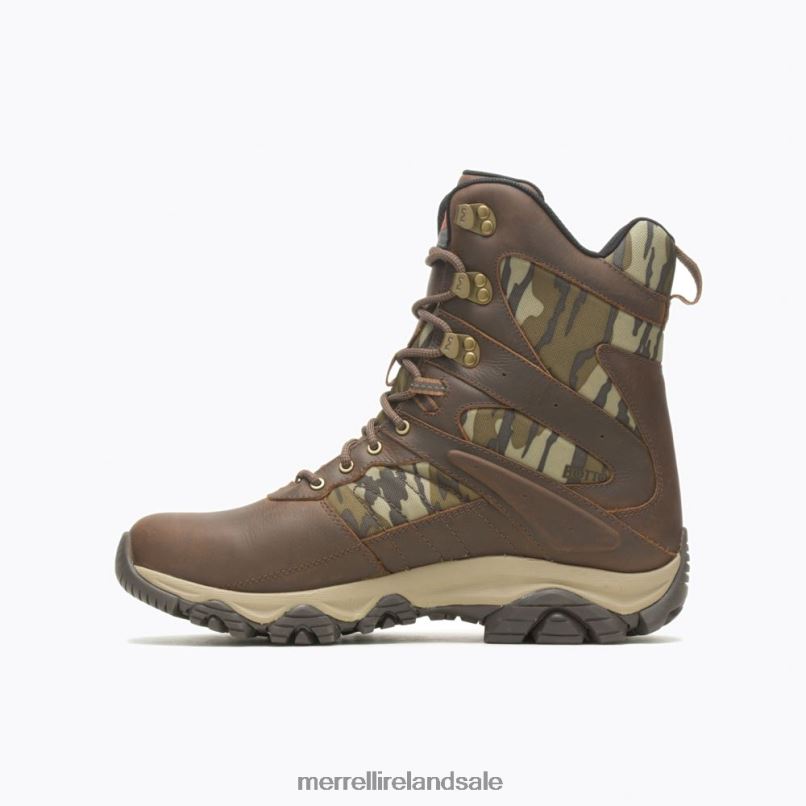 Moab 2 Timber 8'' Waterproof (J004647) Merrell Men BX26T636 Toffee/Oak Shoes