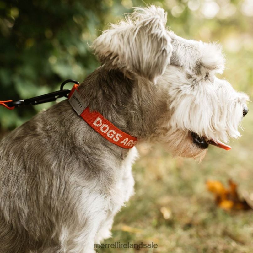 Dog Collar (JAF26691-629) Merrell Unisex BX26T267 Poinciana Accessories
