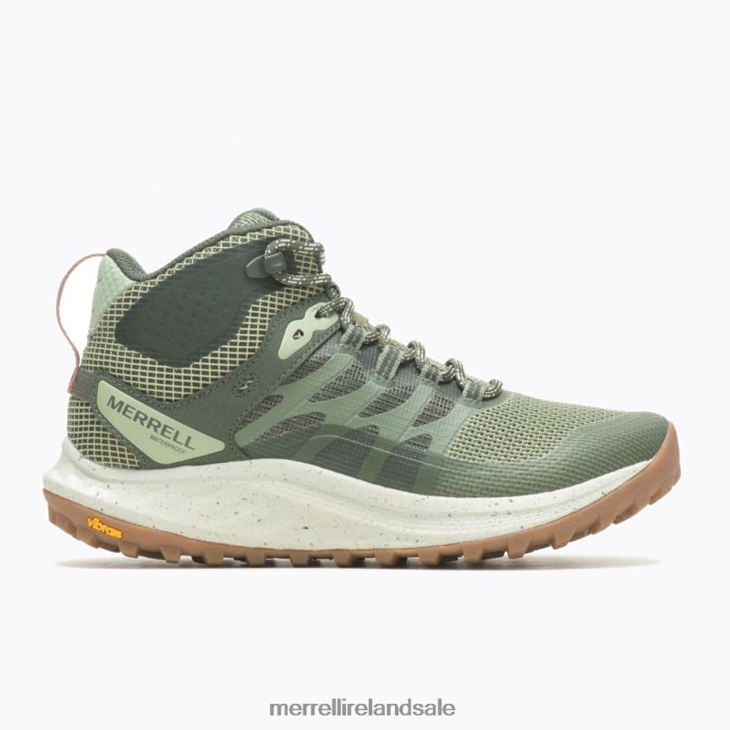 Antora 3 Mid Waterproof (J067584) Merrell Unisex BX26T1083 Lichen Shoes