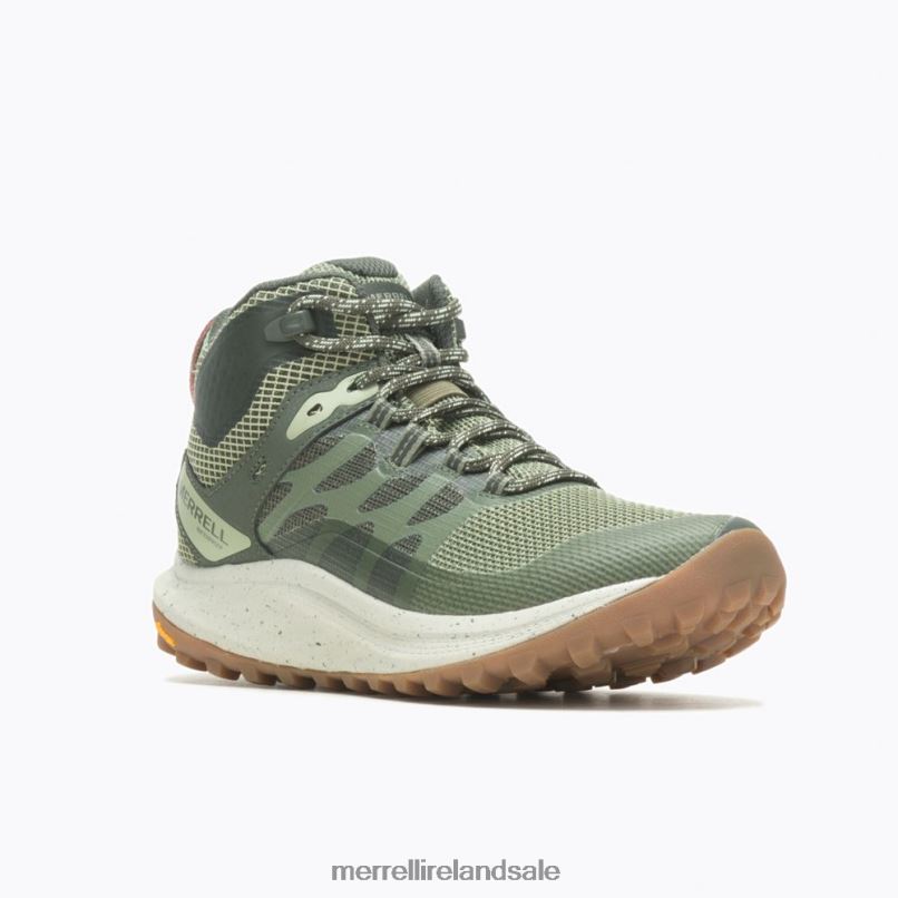 Antora 3 Mid Waterproof (J067584) Merrell Unisex BX26T1083 Lichen Shoes