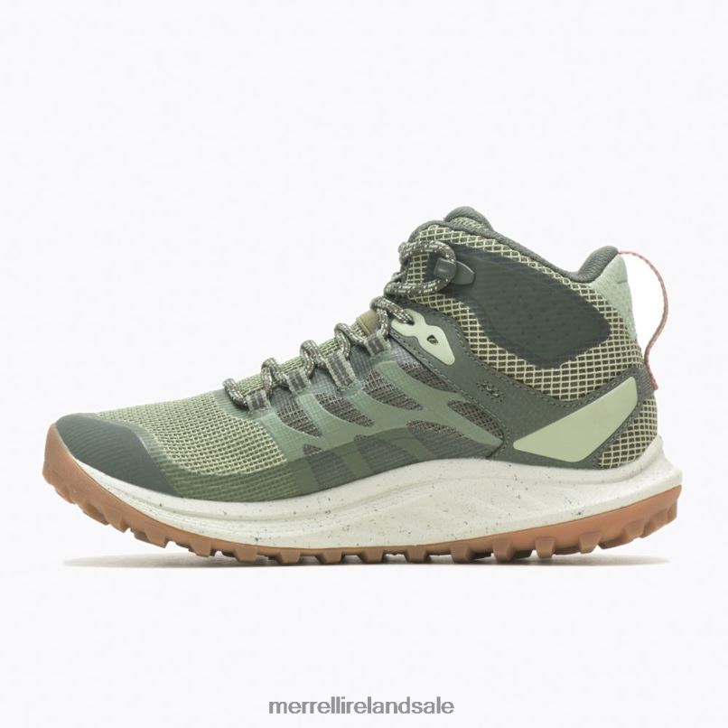 Antora 3 Mid Waterproof (J067584) Merrell Unisex BX26T1083 Lichen Shoes