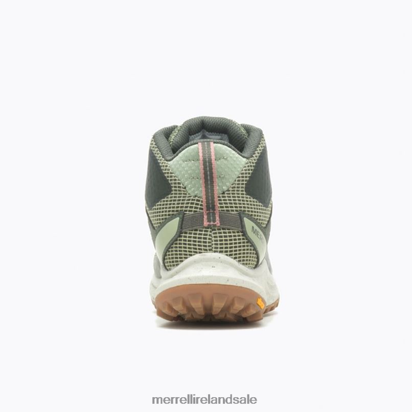 Antora 3 Mid Waterproof (J067584) Merrell Unisex BX26T1083 Lichen Shoes