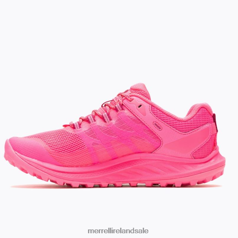 Antora 3 X Sweaty Betty (J500380) Merrell Women BX26T1322 Hot Pink Shoes