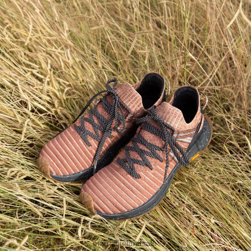 Embark Lace Sneaker X Jordan Ann Craig (J005274) Merrell Women BX26T1057 Tortoise Shoes