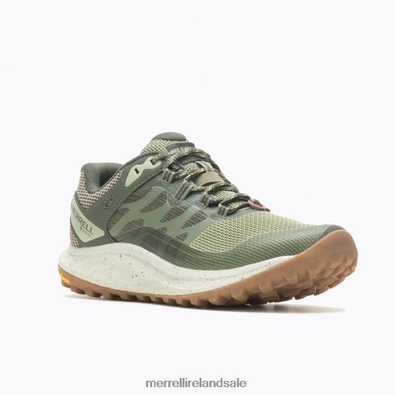 Antora 3 GORE-TEX (J067568) Merrell Women BX26T821 Lichen Shoes
