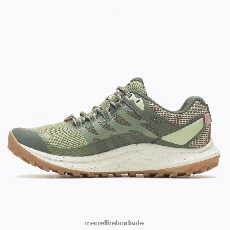 Antora 3 GORE-TEX (J067568) Merrell Women BX26T821 Lichen Shoes