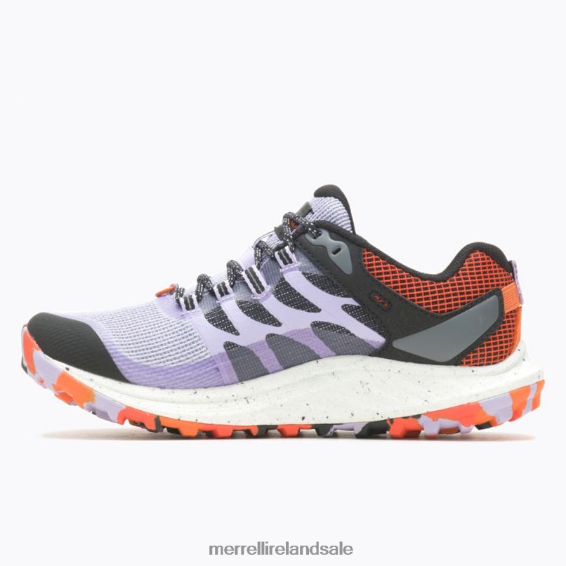 Antora 3 GORE-TEX (J067570) Merrell Women BX26T820 Orchid DR Shoes