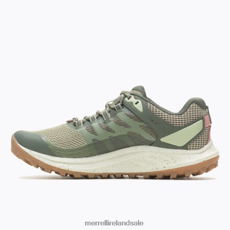 Antora 3 (J067602) Merrell Women BX26T976 Lichen Shoes